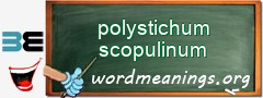 WordMeaning blackboard for polystichum scopulinum